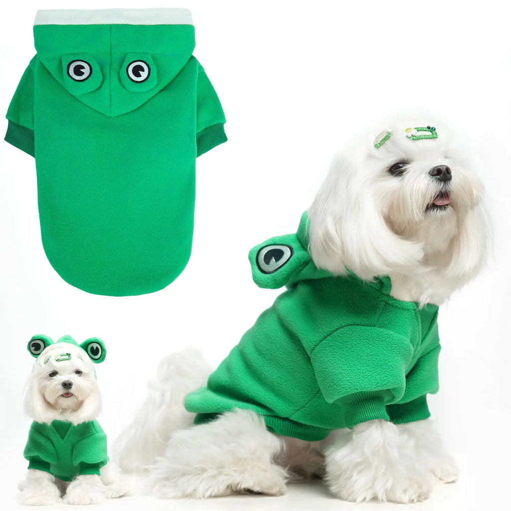 Suéter lindo de ranita para mascota